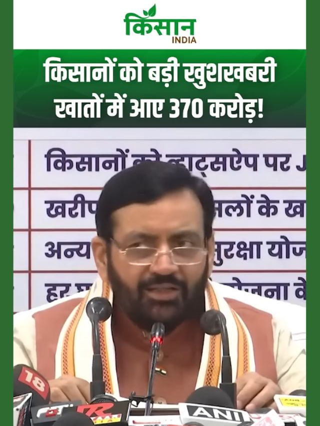Haryana के किसानों की बल्ले-बल्ले: खरीफ 2025 फसल नुकसान के लिए 370 करोड़ का मुआवजा जारी