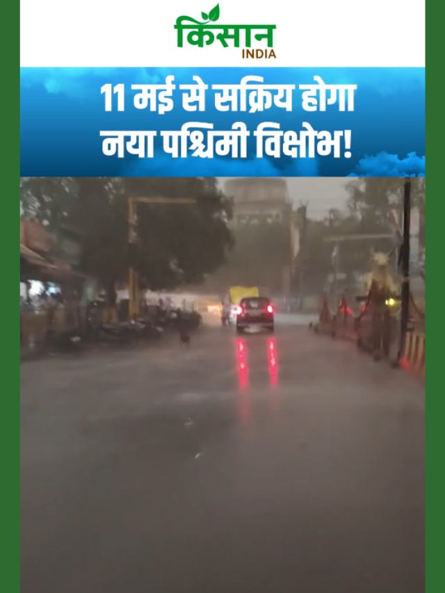 जानिए कैसा रहेगा आज का मौसम, पहाड़ों से मैदान तक बारिश-तूफान की चेतावनी!