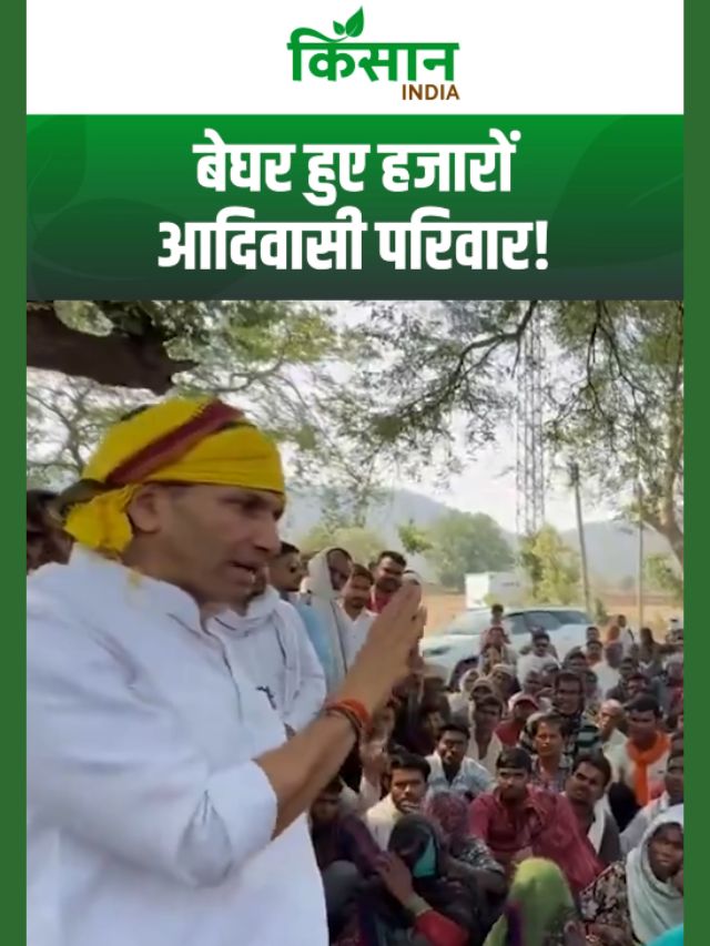 जल-जंगल-ज़मीन छीनी जा रही? केन-बेतवा परियोजना पर उठे गंभीर सवाल, Jitu Patwari ने संभाली कमान!