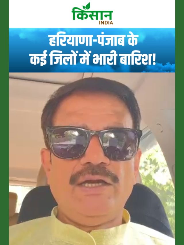 कैसा रहने वाला है अगले 24 घंटों का मौसम, हरियाणा-पंजाब में भारी बारिश!