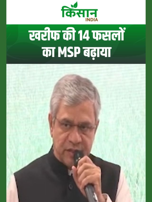 Modi Cabinet में किसानों के लिए धमाकेदार ऐलान, Khairf Season की 14 फसलों का MSP बढ़ाया!