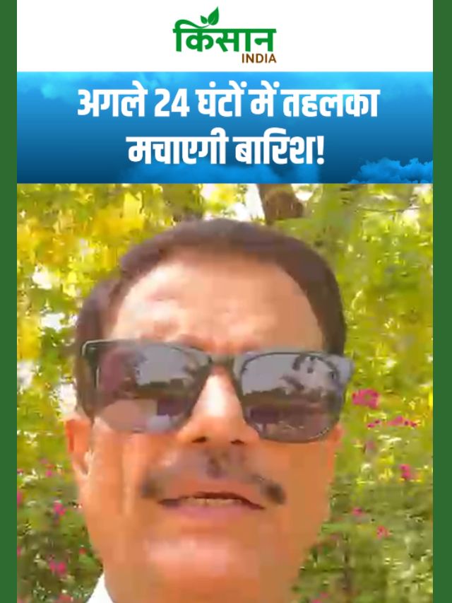 अगले 24 घंटों में तहलका मचाएगी बारिश, इन इलाकों में आंधी-तूफान का भी अलर्ट जारी!