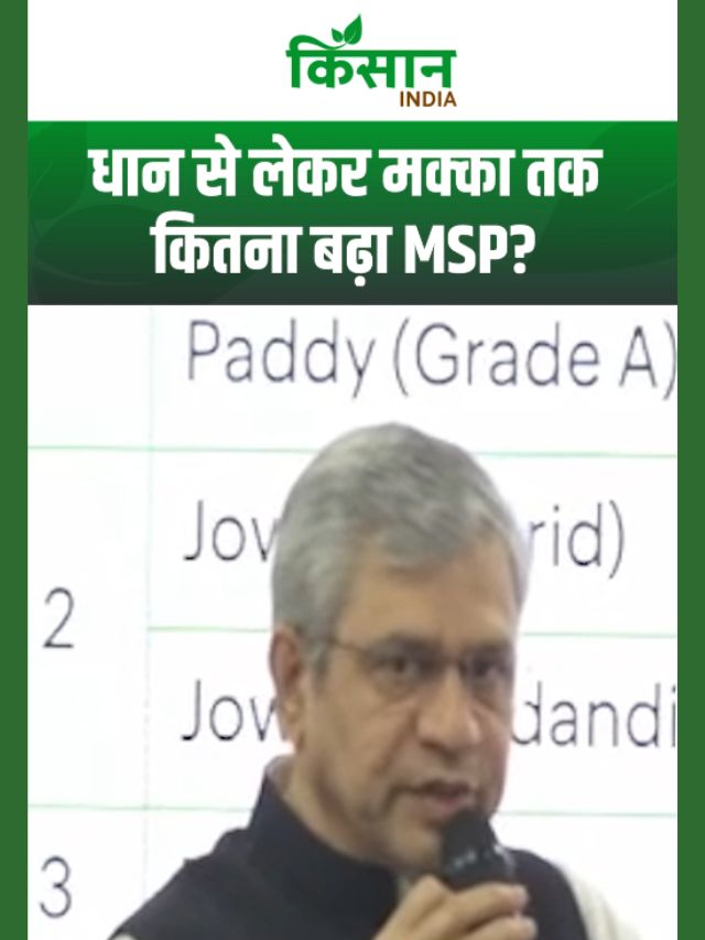 धान से लेकर मक्का-बाजरा तक, खरीफ की कौन सी फसल पर कितना बढ़ाया सरकार ने MSP?