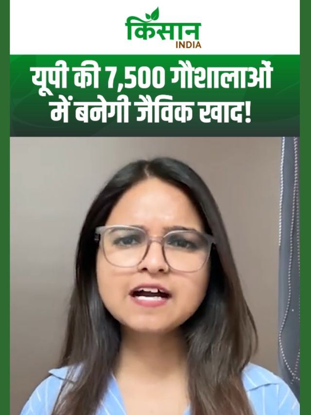 Uttar Pradesh की 7,500 गौशालाओं में बनेगी जैविक खाद, यूरिया-DAP से मिलेगी मुक्ति!
