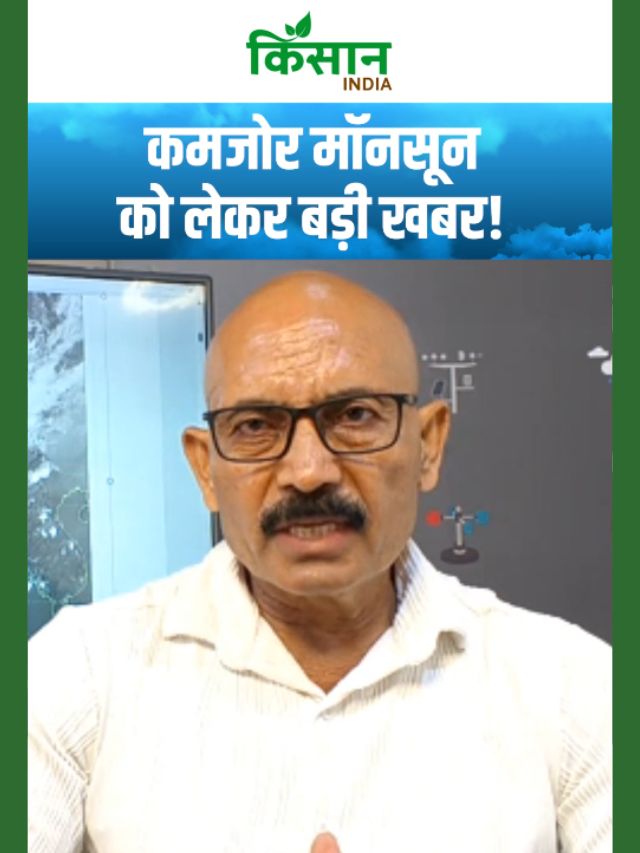 Monsoon 2026 पर बड़ा अपडेट, जुलाई के बाद कमजोर पड़ सकती है बारिश!