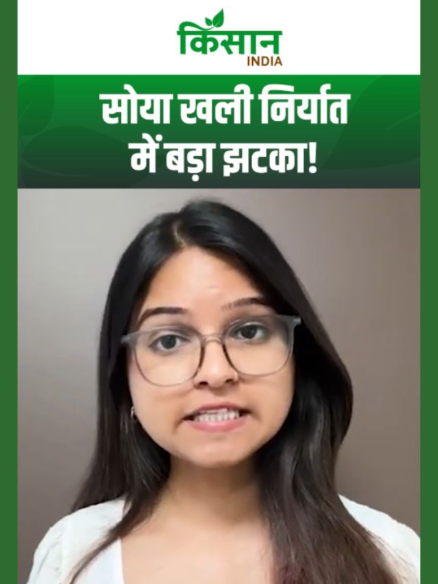 सोया खली निर्यात में बड़ी गिरावट, 4 साल के निचले स्तर पर पहुंचा कारोबार!