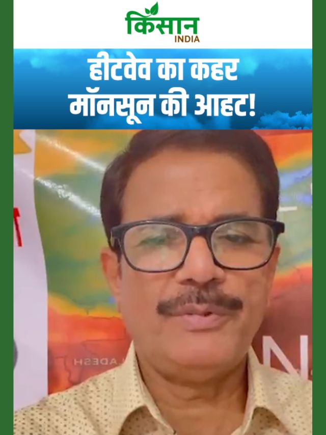 Weather Update | हीटवेव का प्रकोप, Monsoon की एंट्री! अगले 7 दिन बेहद अहम!