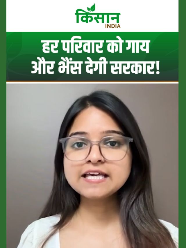 Amit Shah का बड़ा प्लान, हर किसान परिवार को गाय और भैंस देगी सरकार!