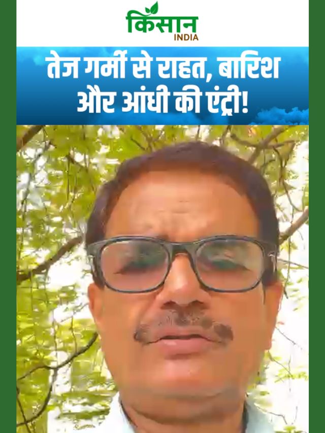 तेज गर्मी से राहत, बारिश और आंधी की एंट्री, 29 से 31 मई के बीच तापमान में बड़ी गिरावट!