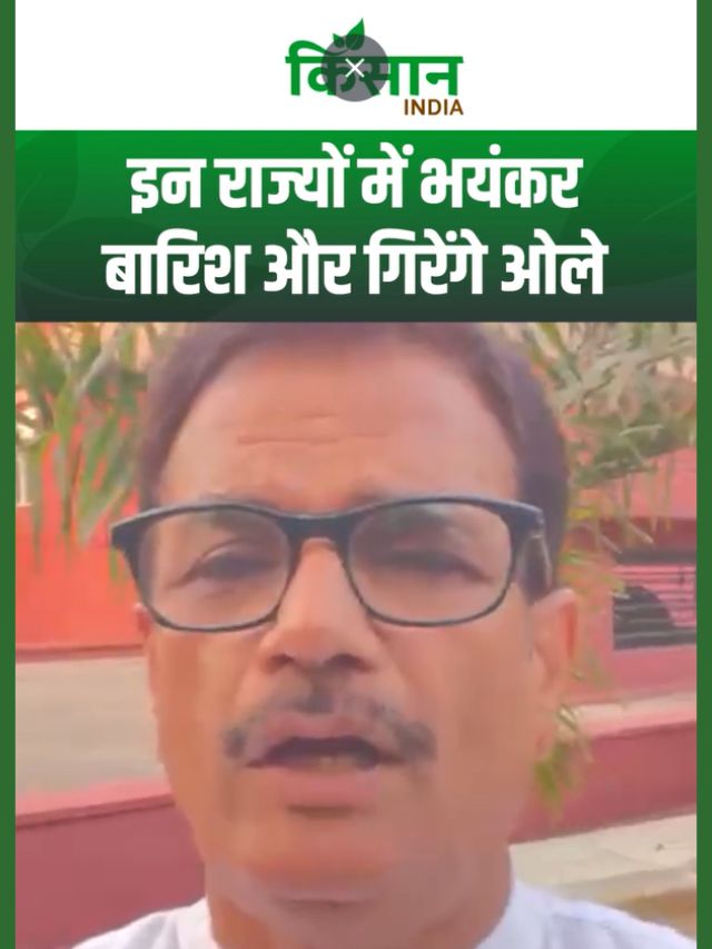 Weather Alert: कई राज्यों में आंधी, बारिश और ओलावृष्टि का खतरा, जानिए पूरी अपडेट