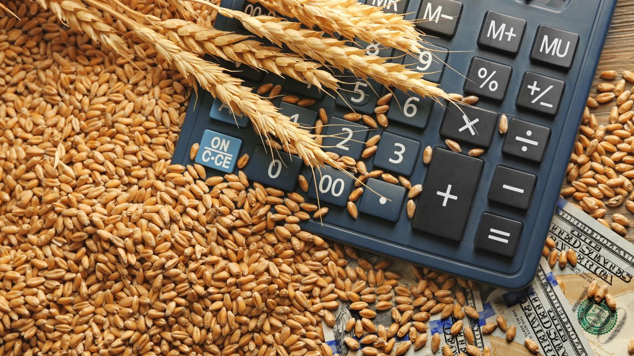 India Wheat Export Resumes After Four Years Kandla Port Itc Shipment 22000 Metric Ton Wheat To Be Exported To Uae