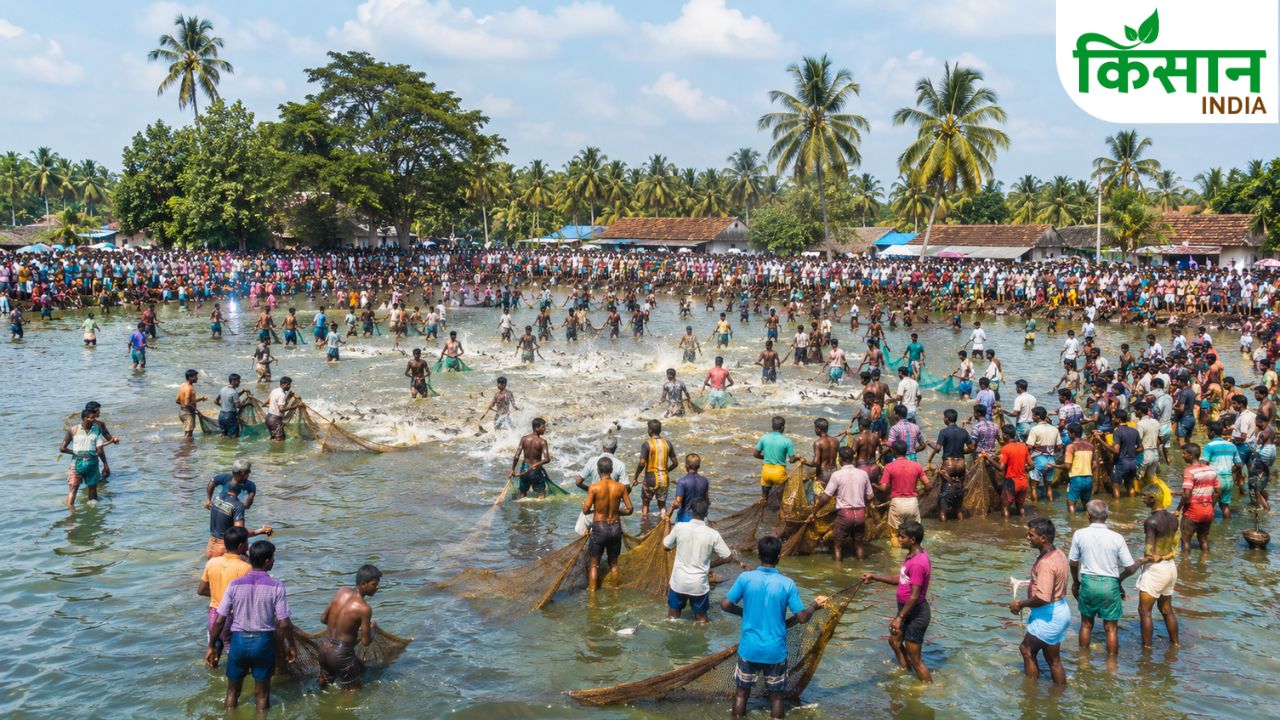 Kallandhiri Tamil Nadu Centuries Old Fishing Festival Village Tradition