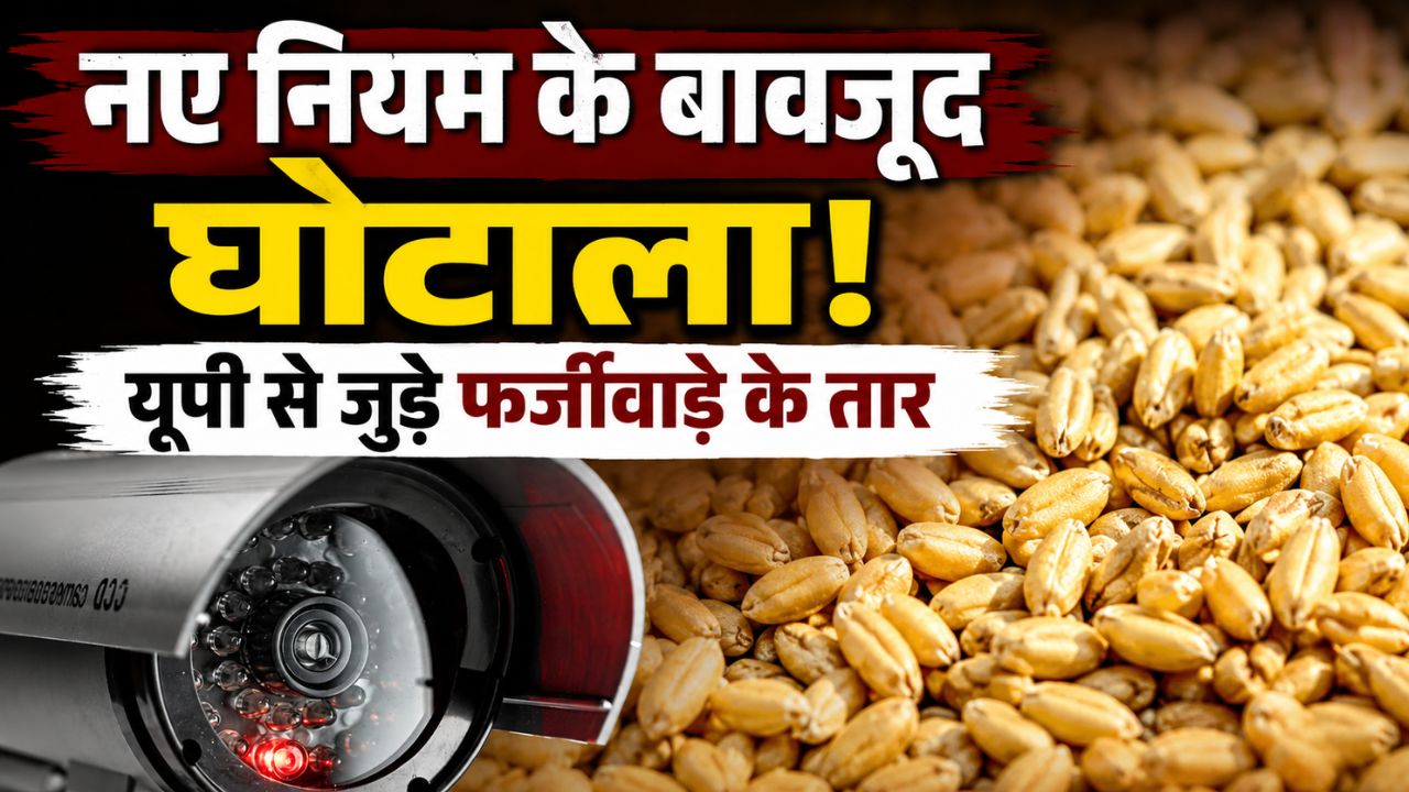 Wheat Procurement Scam In Haryana Karnal Fir Registered