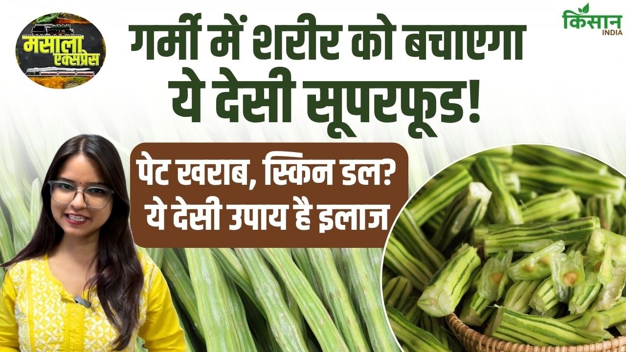 Moringa Provides Coolness And Strength To Body In Summer Know Its Ayurvedic Benefits And Correct Uses