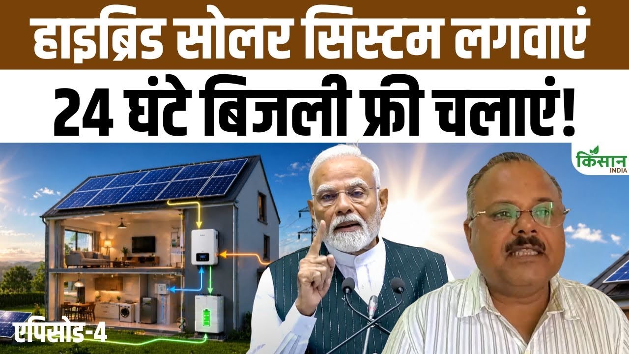 Hybrid Solar System Emerges As Smart Solution To The Power Crisis A Reliable Alternative For Reduced Outages