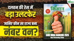 किस राज्य की दाल है देश में नंबर वन? टॉप-5 राज्यों की पूरी लिस्ट Top 5 States Ranking in Pulses
