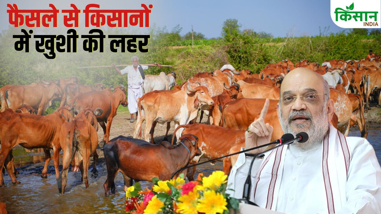 Amit Shah Announced Milk Processing Unit Will Be Set Up In Leh Cost Of Around Rs 70 Crore
