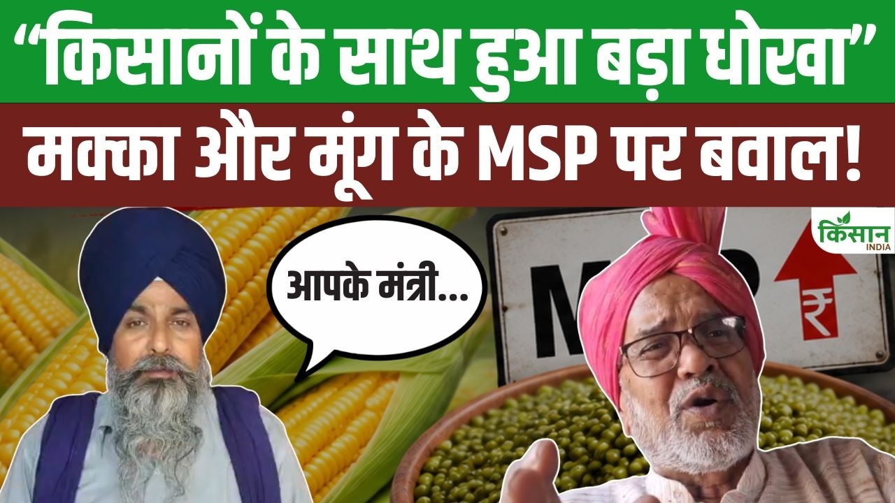 Nationwide Uproar Over Msp Maize And Mung Beans Farmer Leaders Blame Government And Cacp