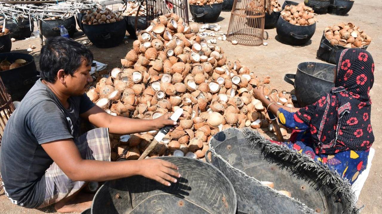 Coconut Oil Copra Price Fall South India Oversupply Weak Demand Export Issues Farmers Impact 2026