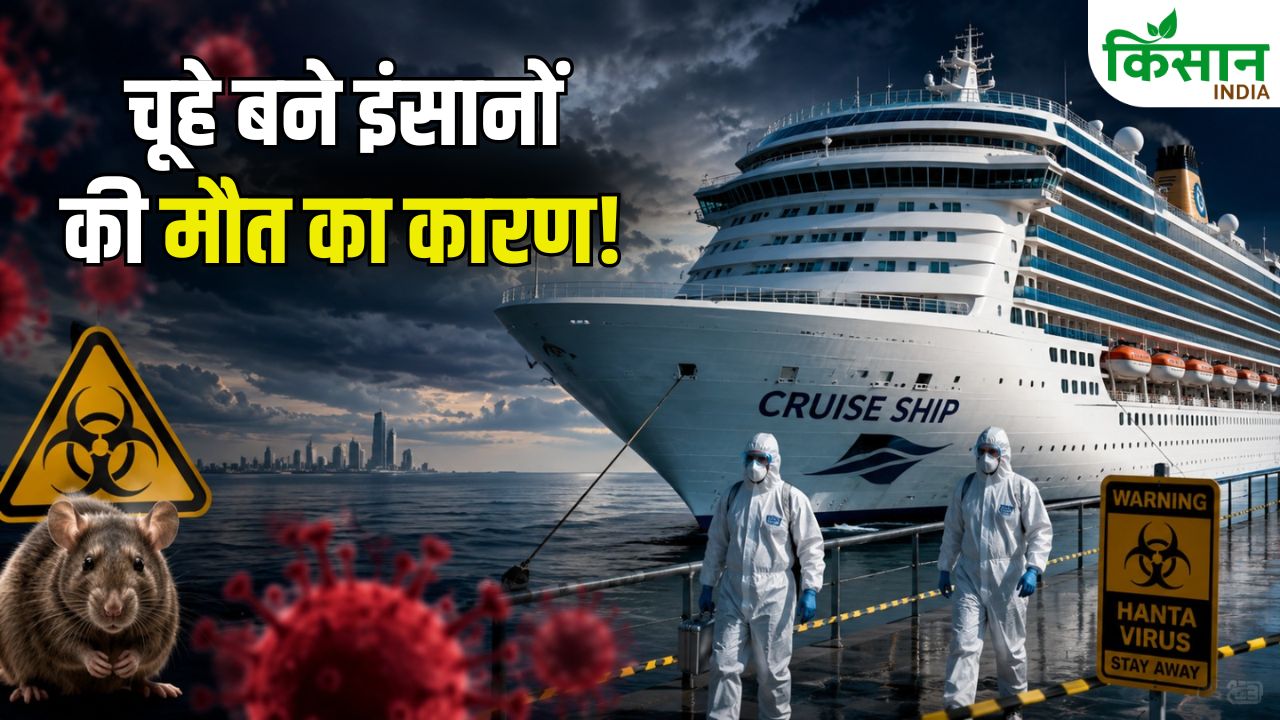 Hantavirus Cruise Ship Outbreak 3 Deaths Who And Cdc Global Health Alert