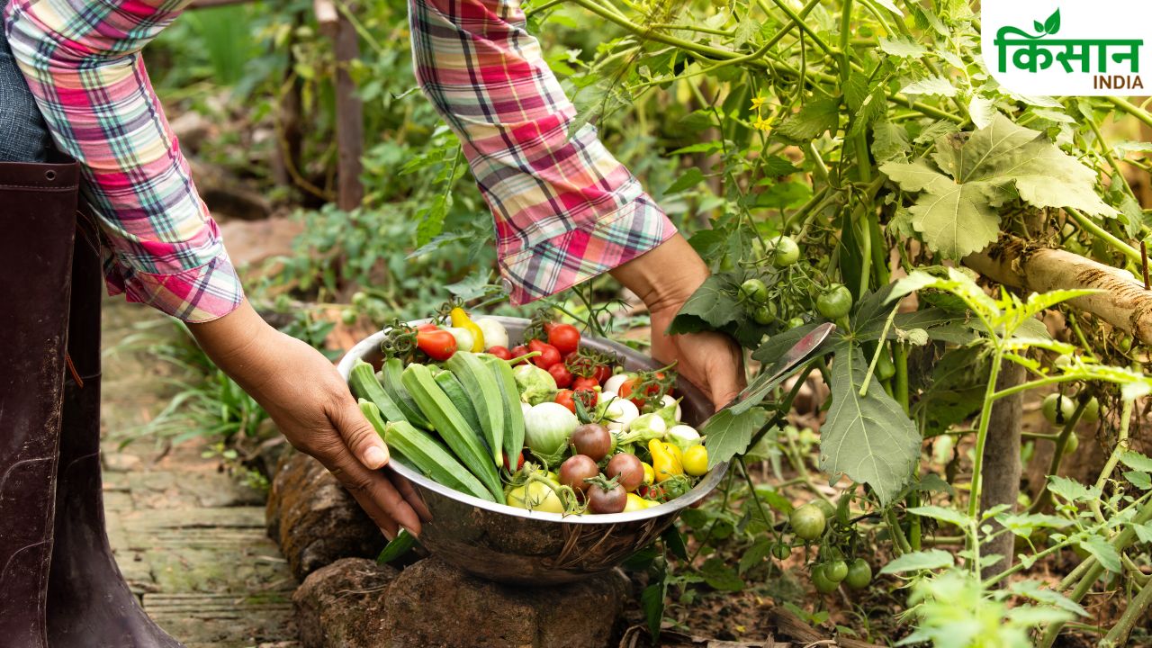 June Month Top 10 Vegetable Farming Profit Business Idea For Farmers