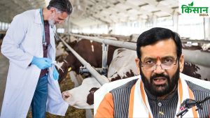 CM नायब सिंह सैनी का बड़ा ऐलान, फोन करते ही घर पहुंचेगी वेट वैन.. बीमारी से नहीं मरेगा पशु CM नायब सिंह सैनी का बड़ा ऐलान, फोन करते ही घर पहुंचेगी वेट वैन.. बीमारी से नहीं मरेगा पशु