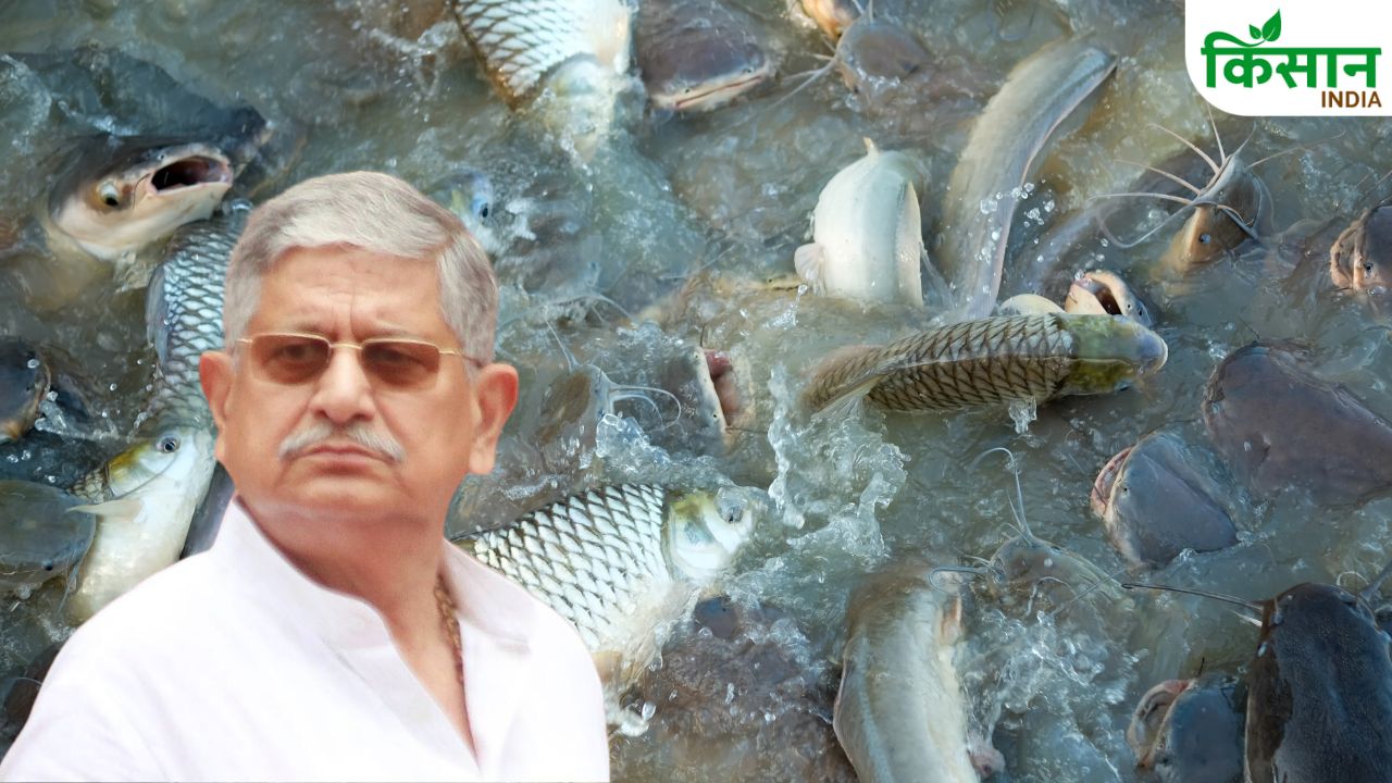 Northeast Fisheries Boost Lalan Singh Launches Multi Crore Fishery Projects In Mizoram