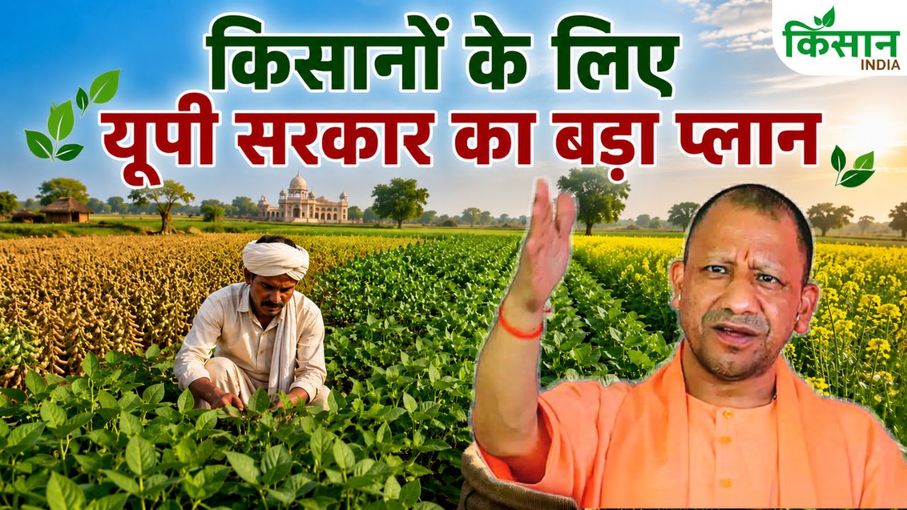 Kharif 2026 Up Government Targets 302 Lakh Tonne Production By Boosting Pulses And Oilseed Farming