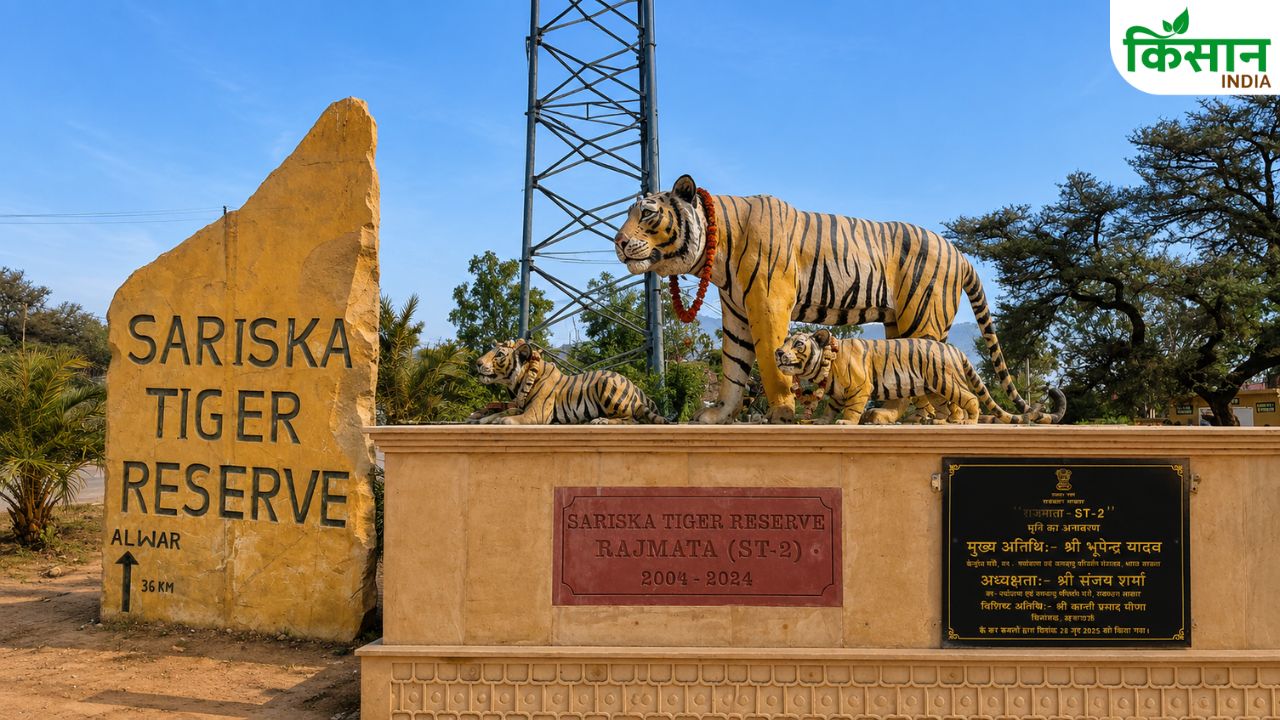 Vedanta Taco Rajasthan Government Mou Sariska High Tech Nature Interpretation Center Wildlife Conservation