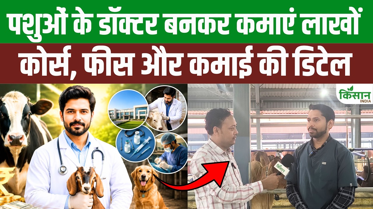 Dreaming Becoming An Animal Gynecologist Learn About Course Fees And Monthly Earnings
