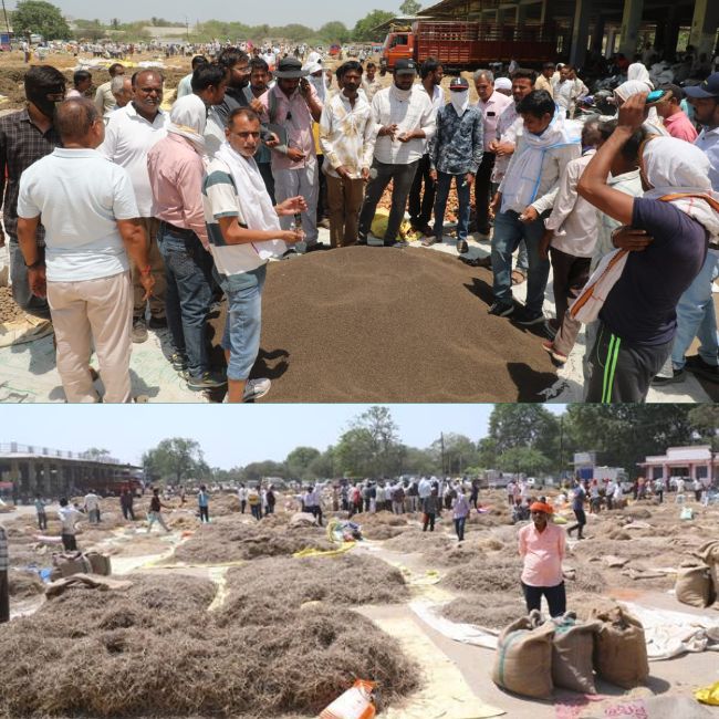 Neemuch Aushadhi Mandi