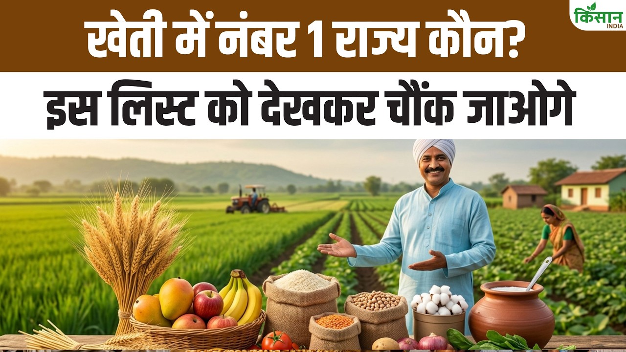 Young People Leaving Jobs Worth Lakhs And Returning Farming Modern Farming