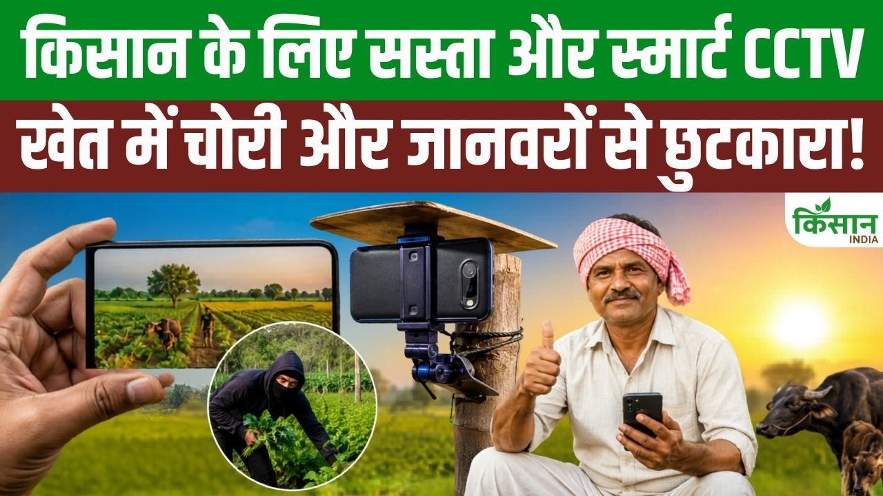 Farm Security Now Easier With A Cheap And Smart Cctv System Available For Farmers