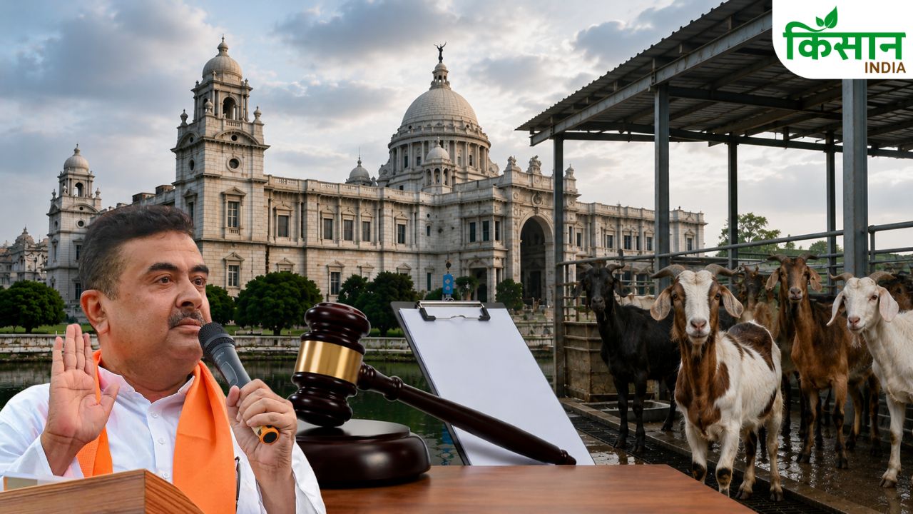 West Bengal Government Issues New Strict Notice On Animal Slaughter No Slaughter Take Place Without Certificate