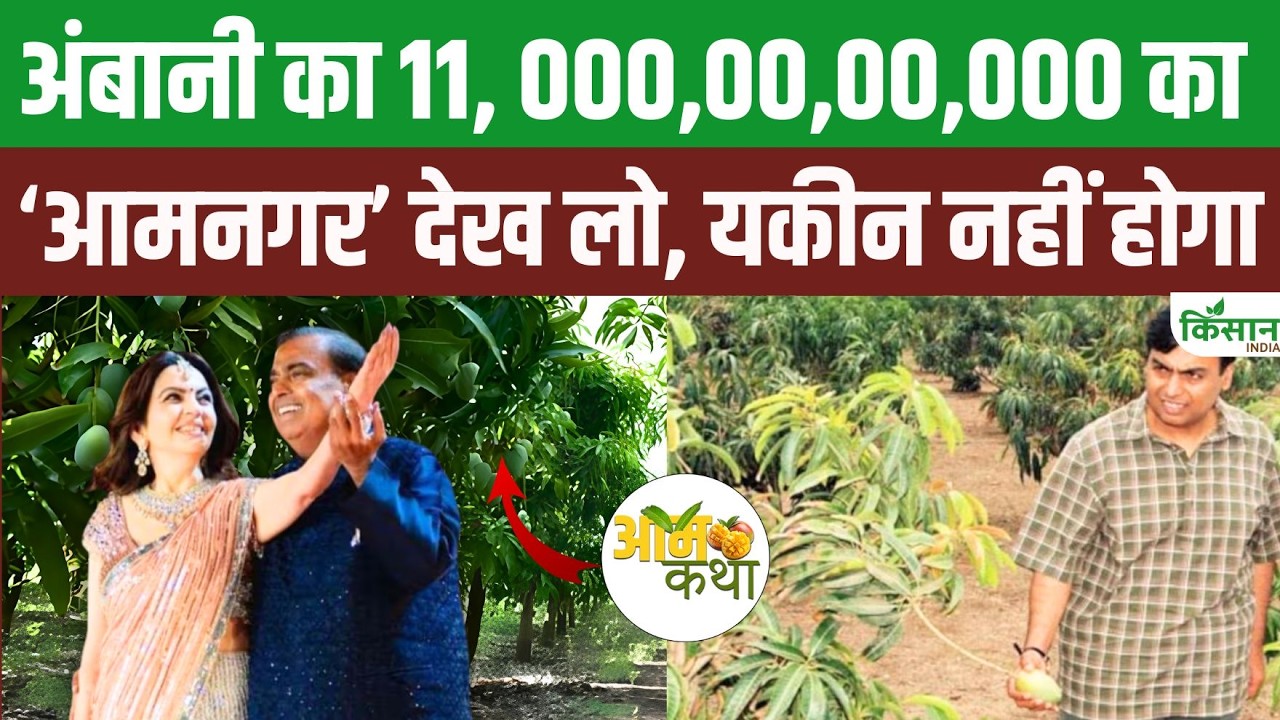 Ambani Mango Empire Is Worth Billions Not Crores It Hard To Count Trees In This Royal Garden