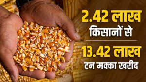 किसानों को बड़ी राहत, सरकार ने जारी किए 1173 करोड़.. एक लाख खातों में पहुंचेगी राशि किसानों को बड़ी राहत, सरकार ने जारी किए 1173 करोड़.. एक लाख खातों में पहुंचेगी राशि