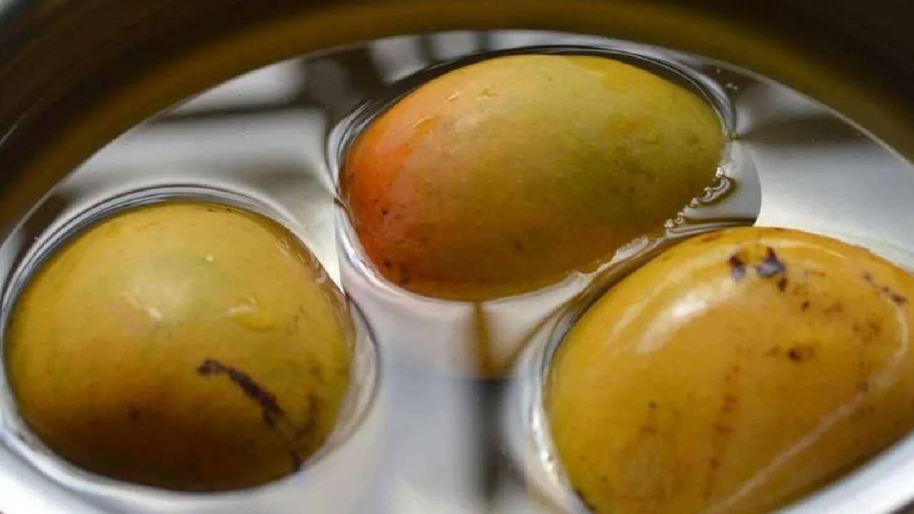 Why Soaking Mangoes Before Eating Is Important Health Benefits Phytic Acid Digestion Summer Fruit Tips