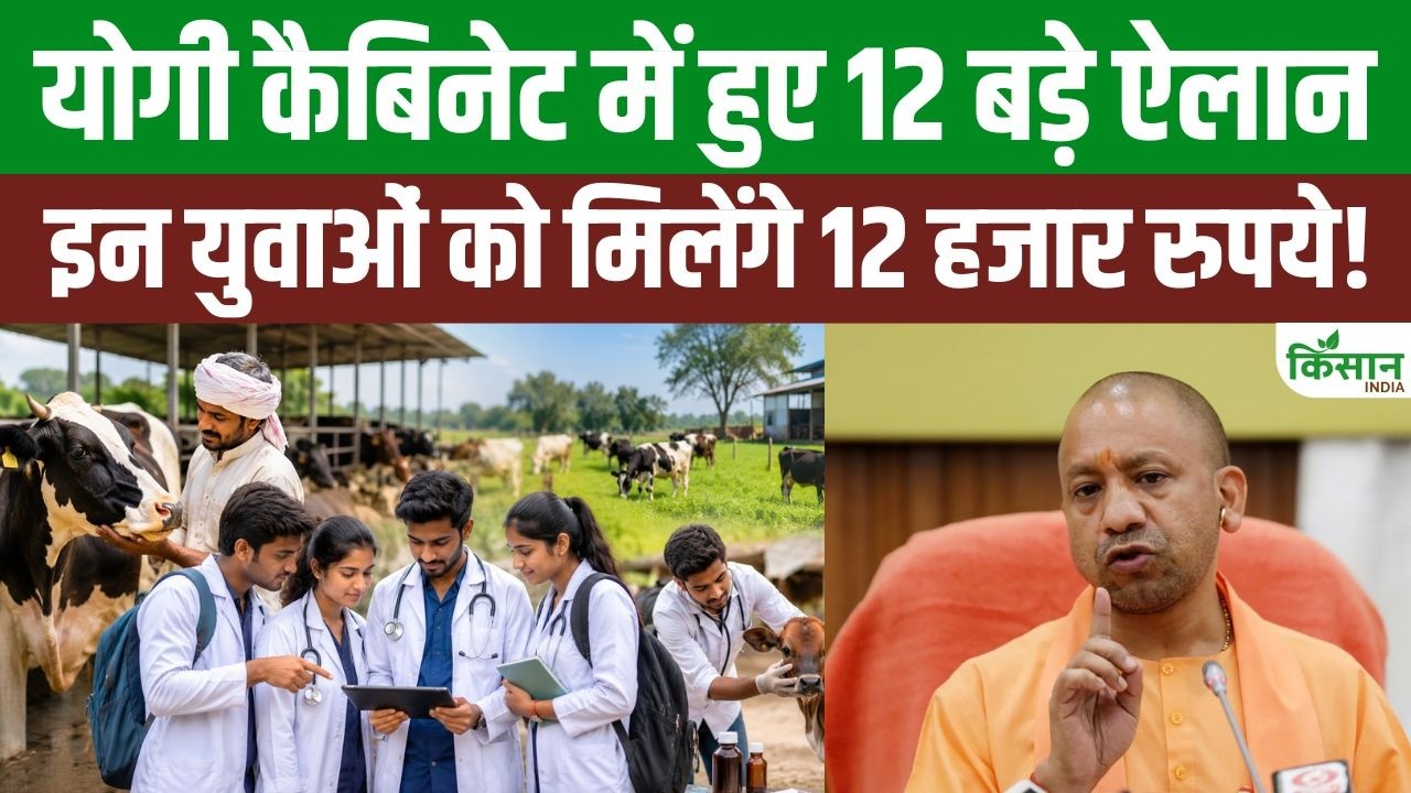 Yogi Cabinet Takes 12 Major Decisions Youth To Get 12000 Rupees And Cattle Farmers Get Major Relief