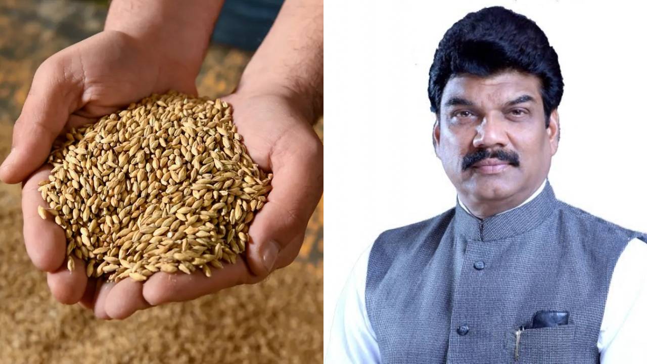 Madhya Pradesh Records Over 90 Lakh Metric Ton Wheat Procurement Farmers Receive Rs 18707 Crore Payment
