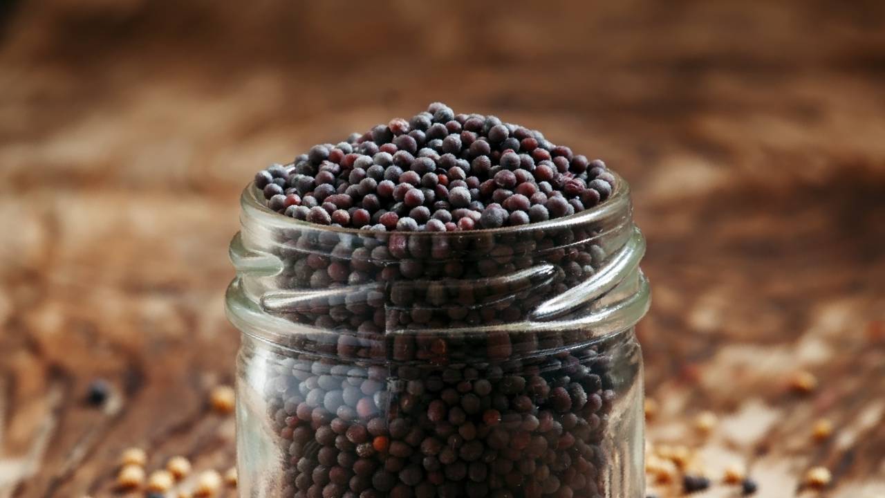 Mustard Prices Surge In Rajasthan Mandis As Global Edible Oil Rally And West Asia Tensions Push Rates Higher