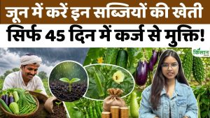 Vegetables to Grow in June: मॉनसून में करें इन सब्जियों की खेती, सिर्फ 45 दिनों में कर्ज से मुक्ति Vegetables to Grow in June: मॉनसून में करें इन सब्जियों की खेती, सिर्फ 45 दिनों में कर्ज से मुक्ति