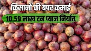 प्याज निर्यात में महाराष्ट्र का जलवा, एक साल में दोगुना हो गया एक्सपोर्ट.. जानें वजह प्याज निर्यात में महाराष्ट्र का जलवा, एक साल में दोगुना हो गया एक्सपोर्ट.. जानें वजह
