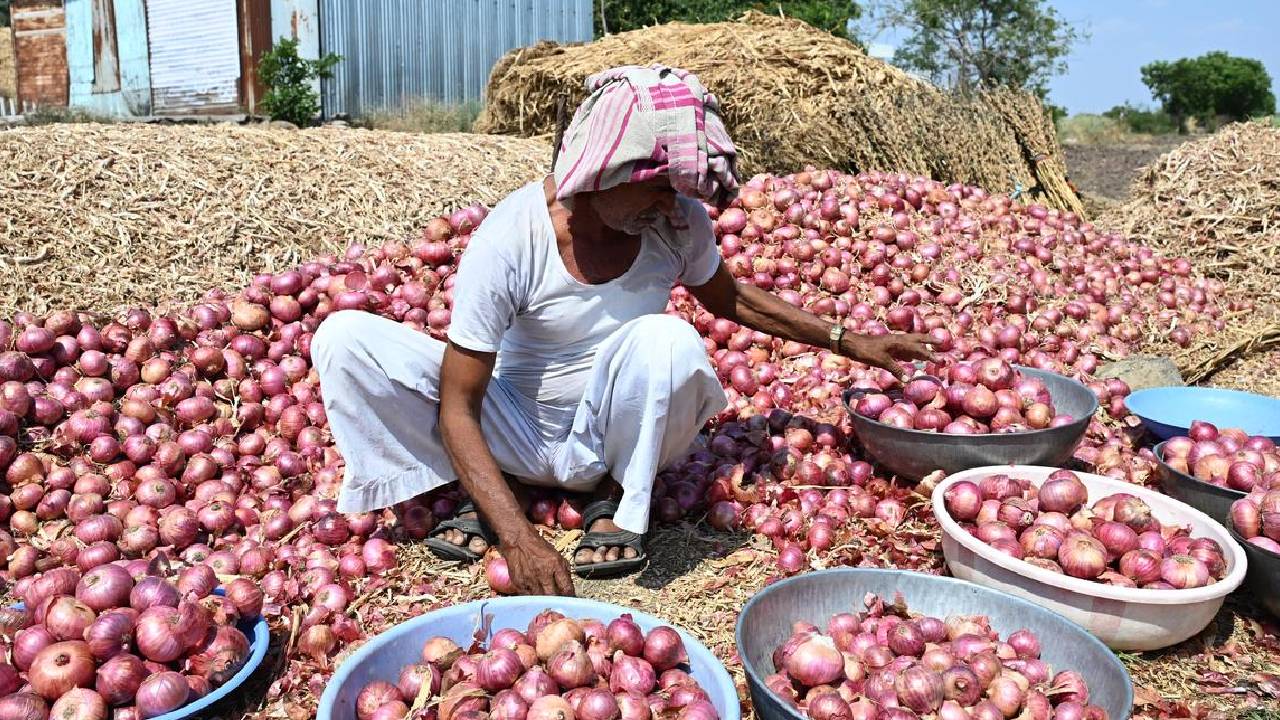 Maharashtra Onion Farmers Protest Low Procurement Price Demand 3000 Per Quintal Government Purchase Row