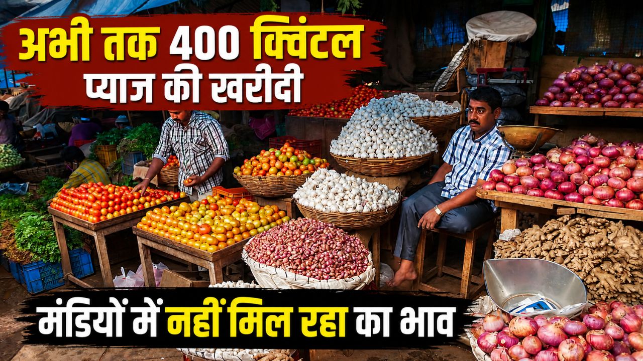 Onion Price Fall Onion Latest Price Lasalgaon Mandi Fresh Onion Rate