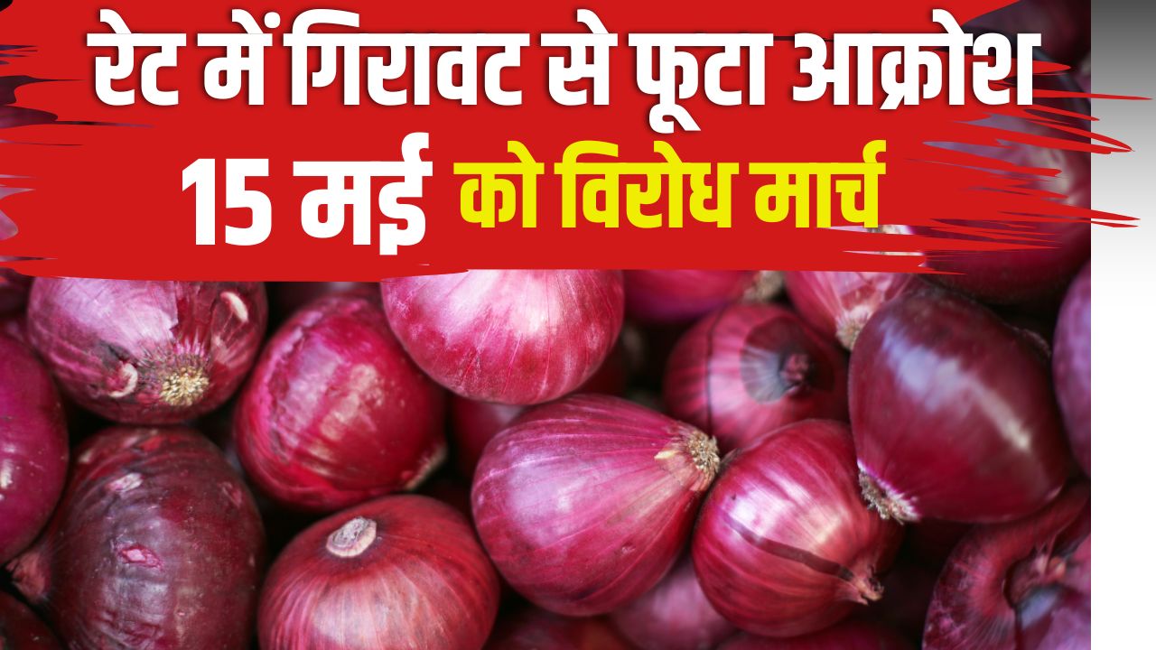 Onion Market Rate Maharashtra Onion Market Rate Fall Onion Farmers Protest