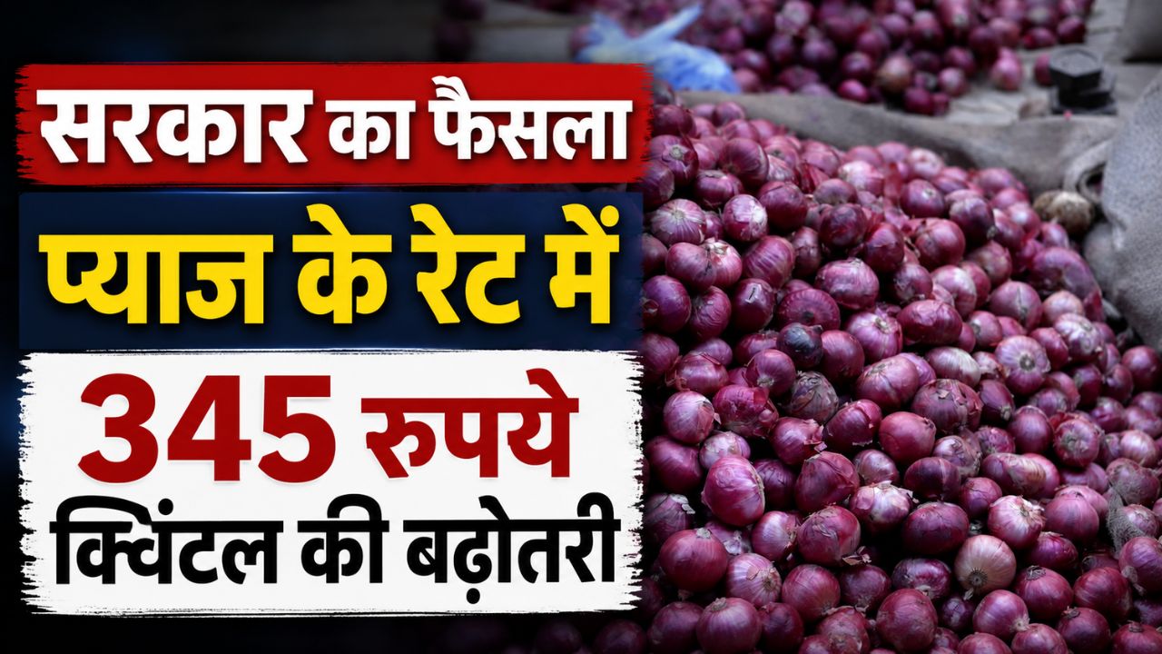 Government Has Increased The Onion Msp Now It Will Be Purchased At Rs 1580 Per Quintal