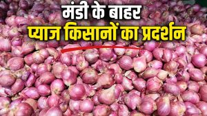 महाराष्ट्र में प्याज का रेट धड़ाम, मंडी में 50 रुपये क्विंटल हुआ भाव.. किसानों में बढ़ी नाराजगी महाराष्ट्र में प्याज का रेट धड़ाम, मंडी में 50 रुपये क्विंटल हुआ भाव.. किसानों में बढ़ी नाराजगी