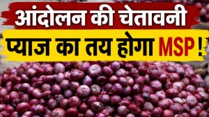 प्याज के रेट में गिरावट, 20 बोरी बेचने पर किसान को मिले केवल 519 रुपये.. सब्सिडी की उठी मांग प्याज के रेट में गिरावट, 20 बोरी बेचने पर किसान को मिले केवल 519 रुपये.. सब्सिडी की उठी मांग