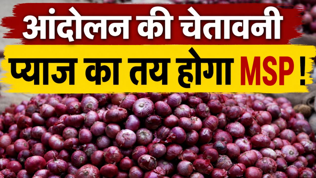 Maharashtra Onion Prices Fall Onion Farmers Demand Onion Subsidy Onion Latest Market Rate