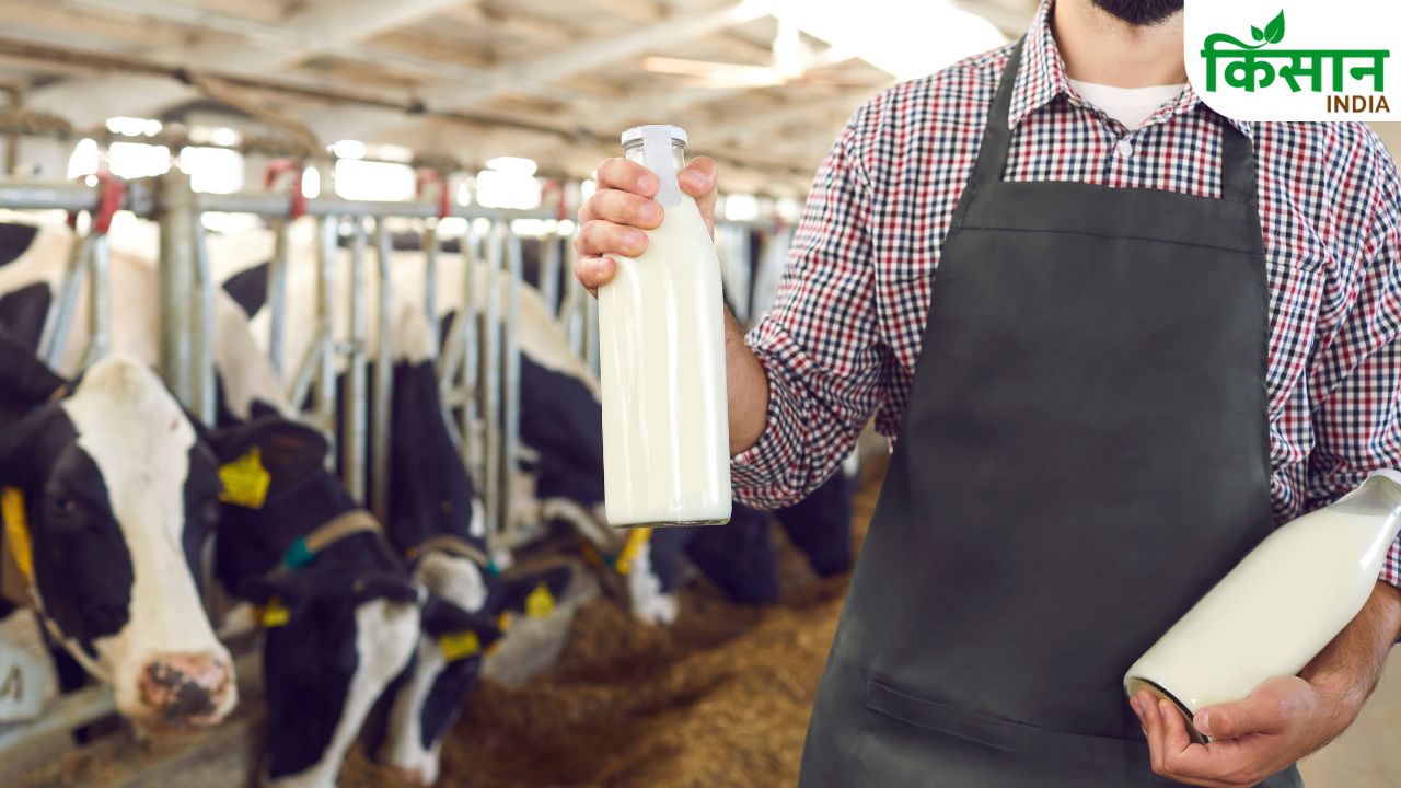 Madhya Pradesh Dairy Sector Record Growth After Nddb Takeover